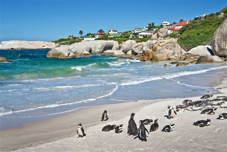 Südafrika vom Feinsten ©Delphotostock/adobestock